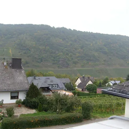 Kroth An Der Mosel 3* 布里德尔