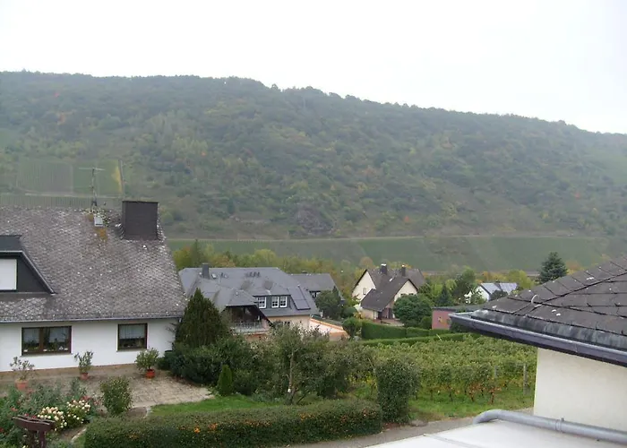 Kroth An Der Mosel 3* Briedel